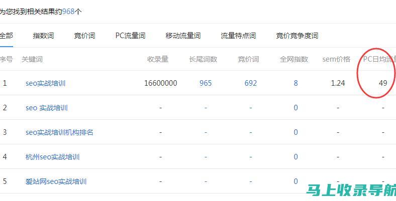 全面解析站长统计报告中的关键指标与功能