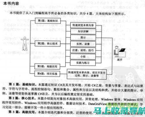 从入门到精通：企业网站建设所需人才全解析